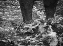 2024-08-23/DSCF7926 - retouche / France - Bretagne - Les pieds dans l'eau - Grande marée